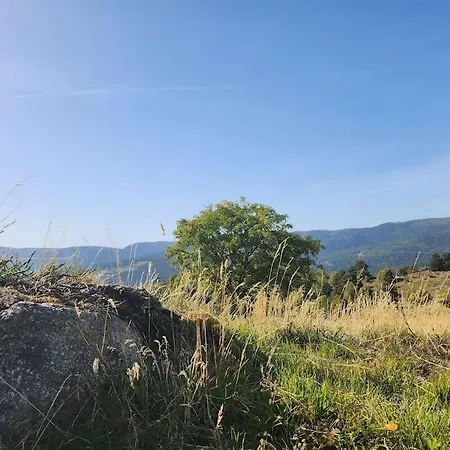 Hotel Le Pavillon De The *