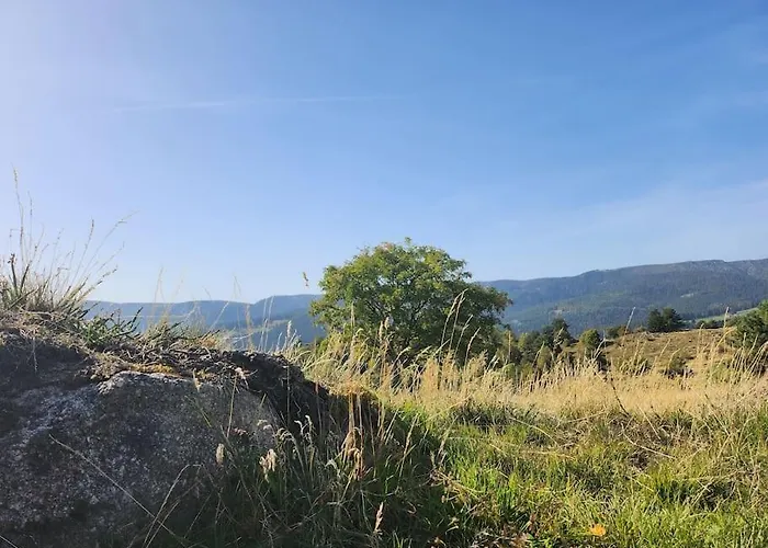 Hotel Le Pavillon De The *