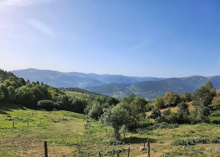 Le Pavillon De The Ammerschwihr