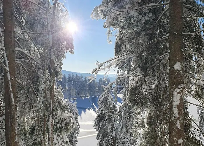 Hotel Le Pavillon De The Ammerschwihr